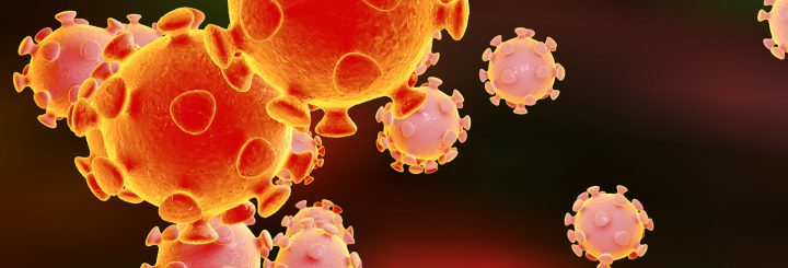 Coronavirus – OTK measures new update March 19